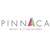 Pinnaca Retail & IT Solutions logo