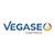 VEGASE CONTROLE logo