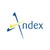 Andex International logo
