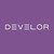 DEVELOR UKRAINE logo