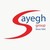 Sayegh Group logo