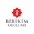 Birikim Okulları logo