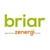 Briar logo
