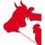 Grupo Sola Ricca logo