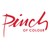 Pinch of Colour LLC., logo
