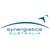 Synergistics Australia logo