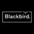 Blackbird Co. logo