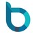 Icybit logo