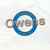 Owens Construction Services logo