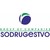 Sodrugestvo Group of Companies logo