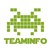 TEAMINFO logo
