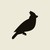 Black Jays Ventures logo