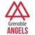 Grenoble Angels - Oser l'entreprise logo