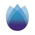 WisElement logo