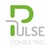 Pulse Consulting SAS logo