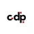 CDP CONSULTING logo