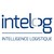 Intelog SAS Groupe LVO logo