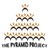 The Pyramid Project logo