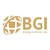 BGI Energy Services Limited logo