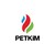 Petkim logo