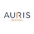 Auris Gestion logo