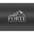 Forte Capital Group logo