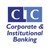 CIC Corporate & Institutional Banking logo