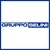 Gruppo Selini Logo