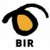 BIR logo