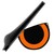 Bird's Eye Solutions logo