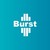 Burst logo