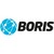 BORIS Software Ltd logo