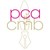 PCA CMB logo