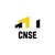CNSE logo