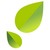 FLORESSENCE SAS logo