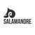 Salamandre, solutions logicielles logo