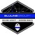 The BluLine Group logo