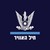 Israeli Air Force logo