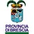Provincia di Brescia logo