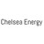 Chelsea Energy Inc. logo