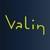 Valin logo