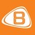 Bransys logo