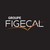 FIGECAL logo