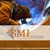 SMI Drulingen logo