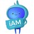 iAM Compliant logo