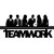 United Success Team logo