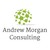 Andrew Morgan Consulting, LLC logo