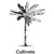 Cultivate logo