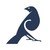 Cowbird Capital LP logo