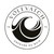 VOLEVATCH logo